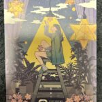 セルシス（３６６３）