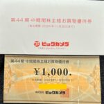 ビックカメラ（３０４８）