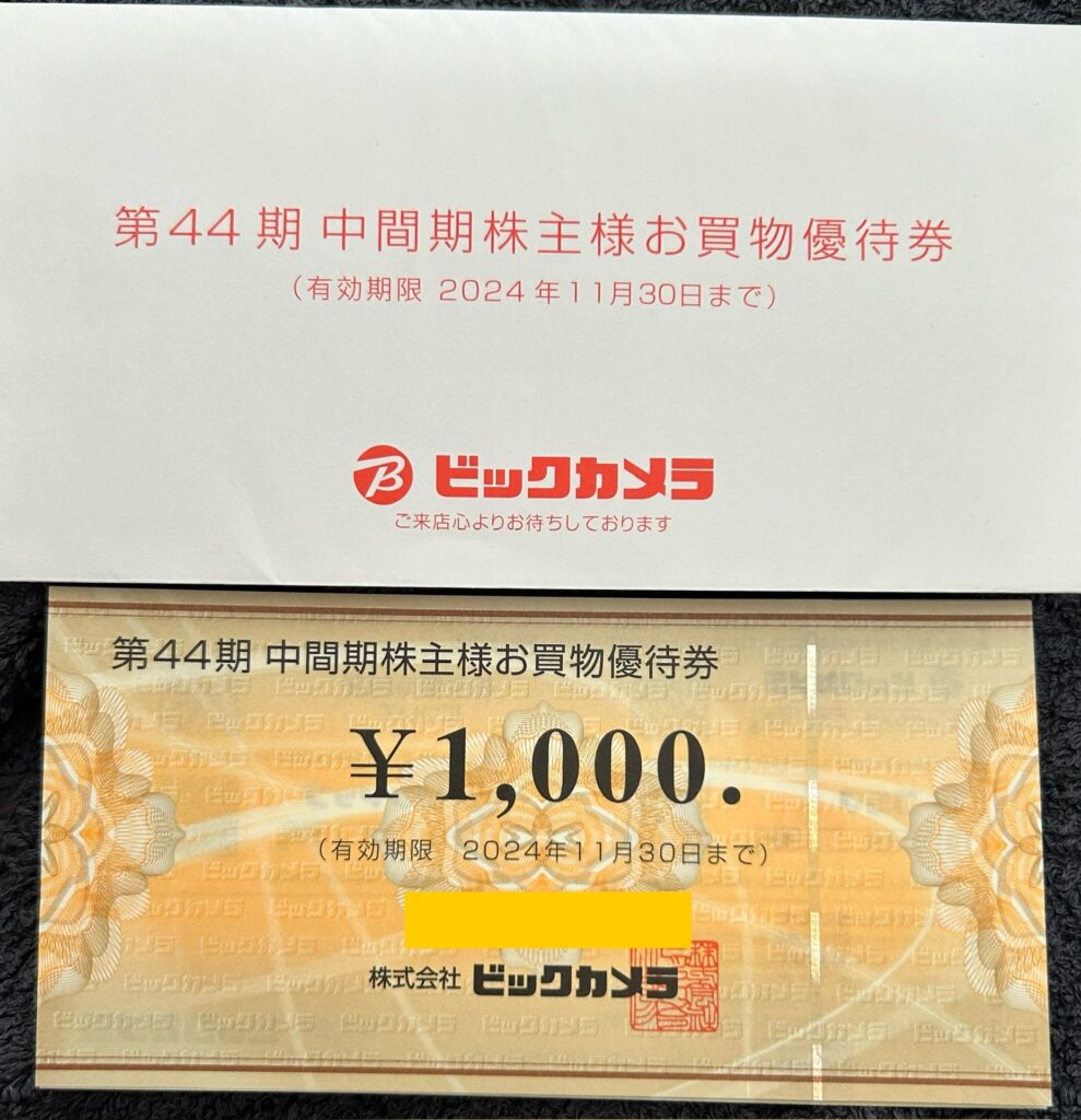 ビックカメラ（３０４８）