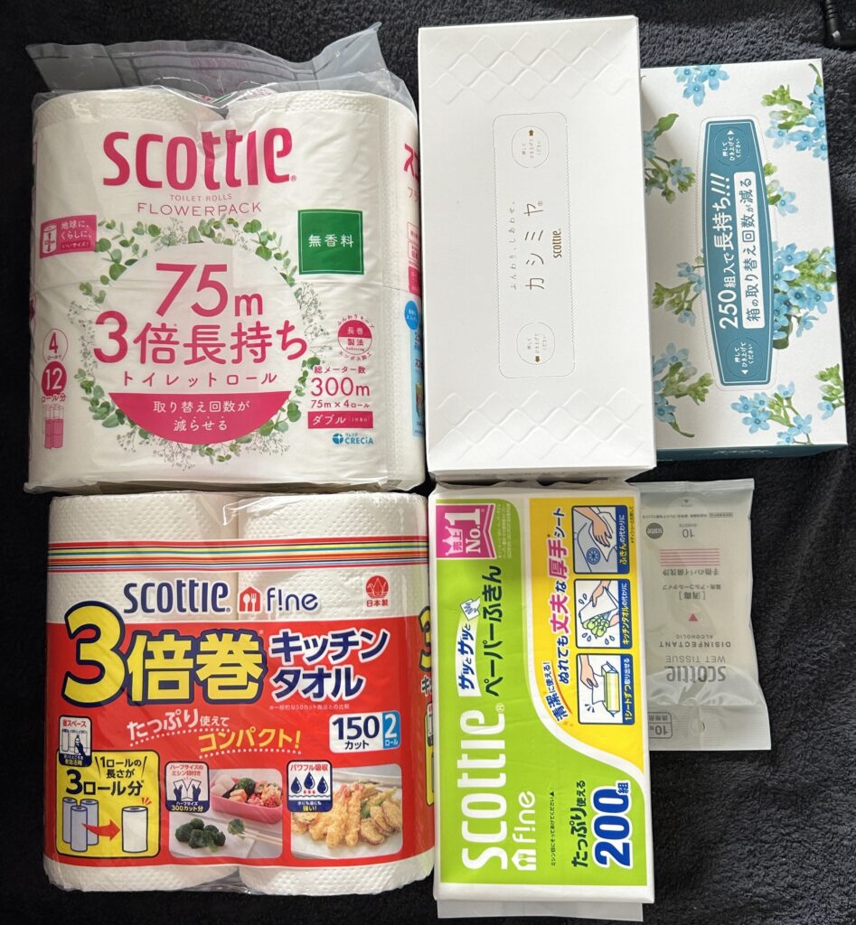 日本製紙（３８６３）