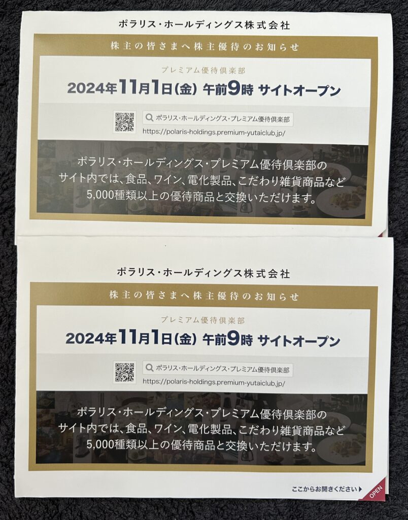 ポラリス・ホールディングス（３０１０）