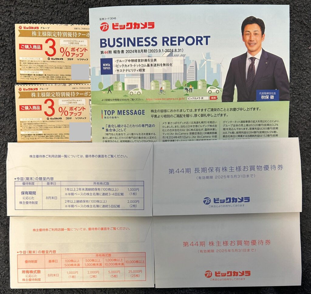 ビックカメラ（３０４８）