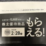 プロジェクトホールディングス（９２４６）