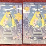 セルシス（３６６３）